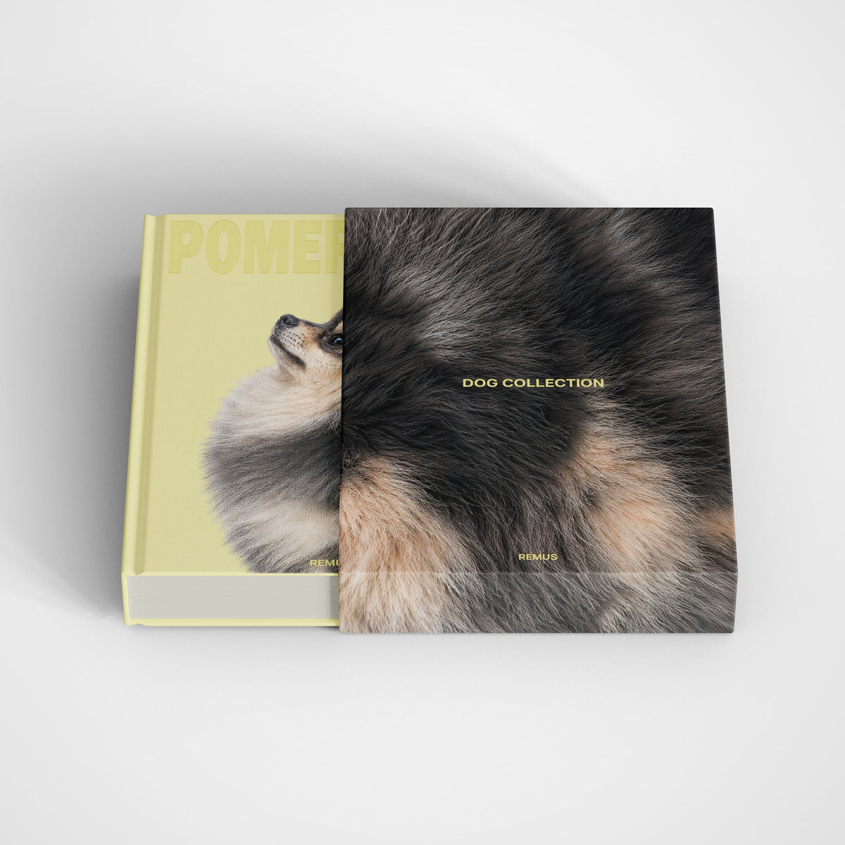 POMERANIAN Remus Collection