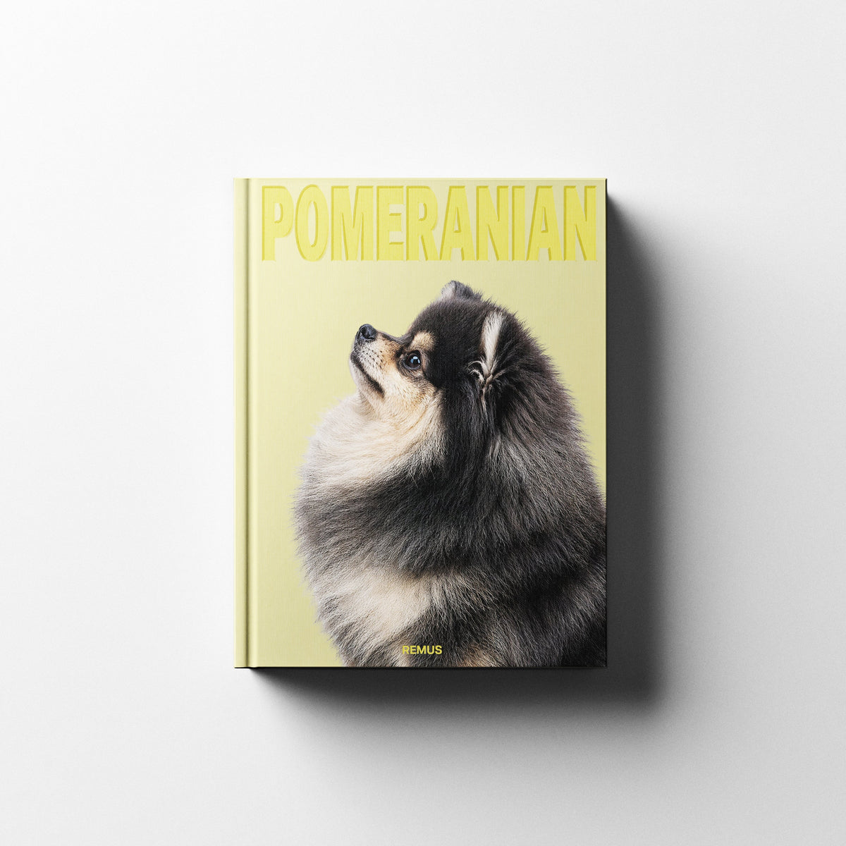 POMERANIAN Remus Collection