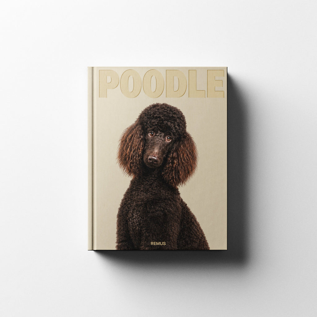 POODLE Remus Collection