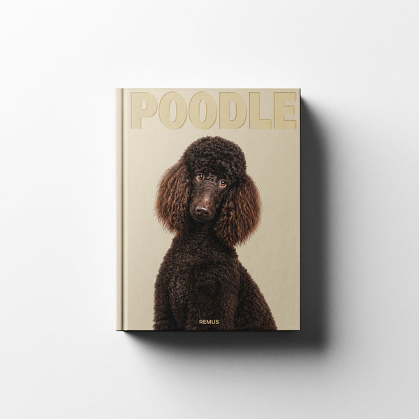 POODLE