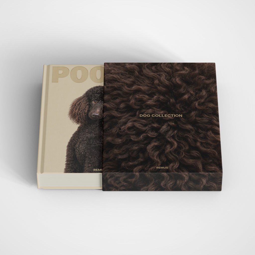 Poodle slipcase in natural oat linen — REMUS Collection