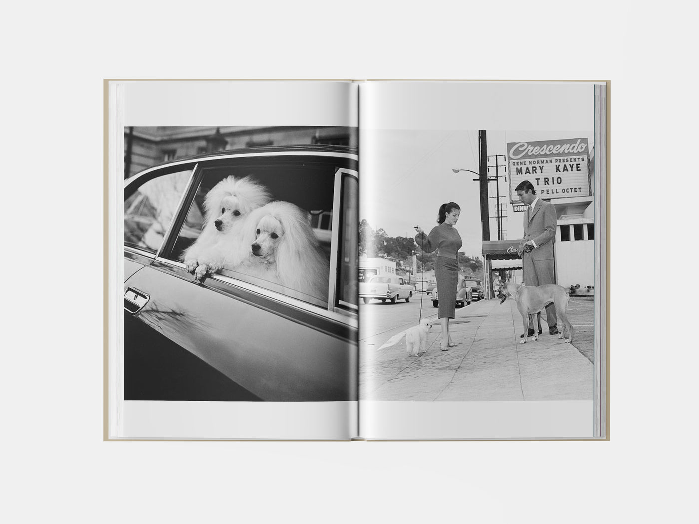 Book preview page 3