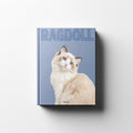 RAGDOLL REMUS