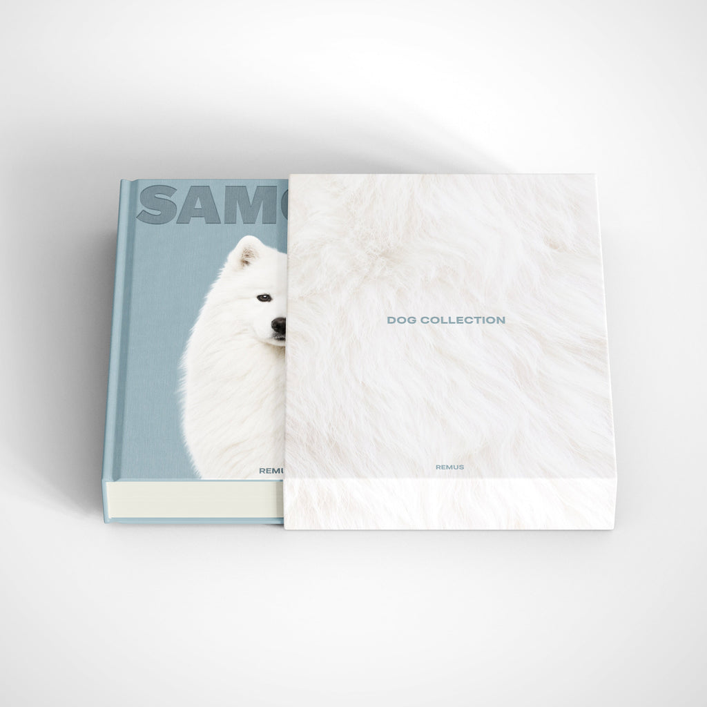 SAMOYED REMUS