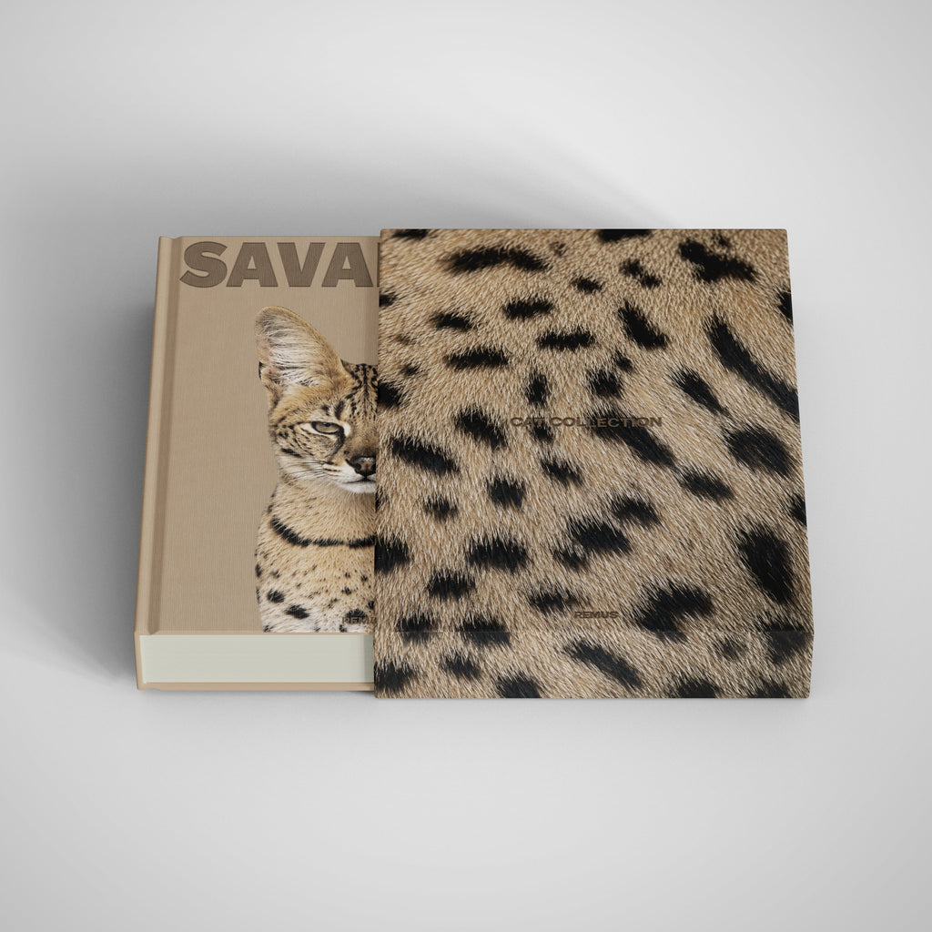 SAVANNAH Remus Collection