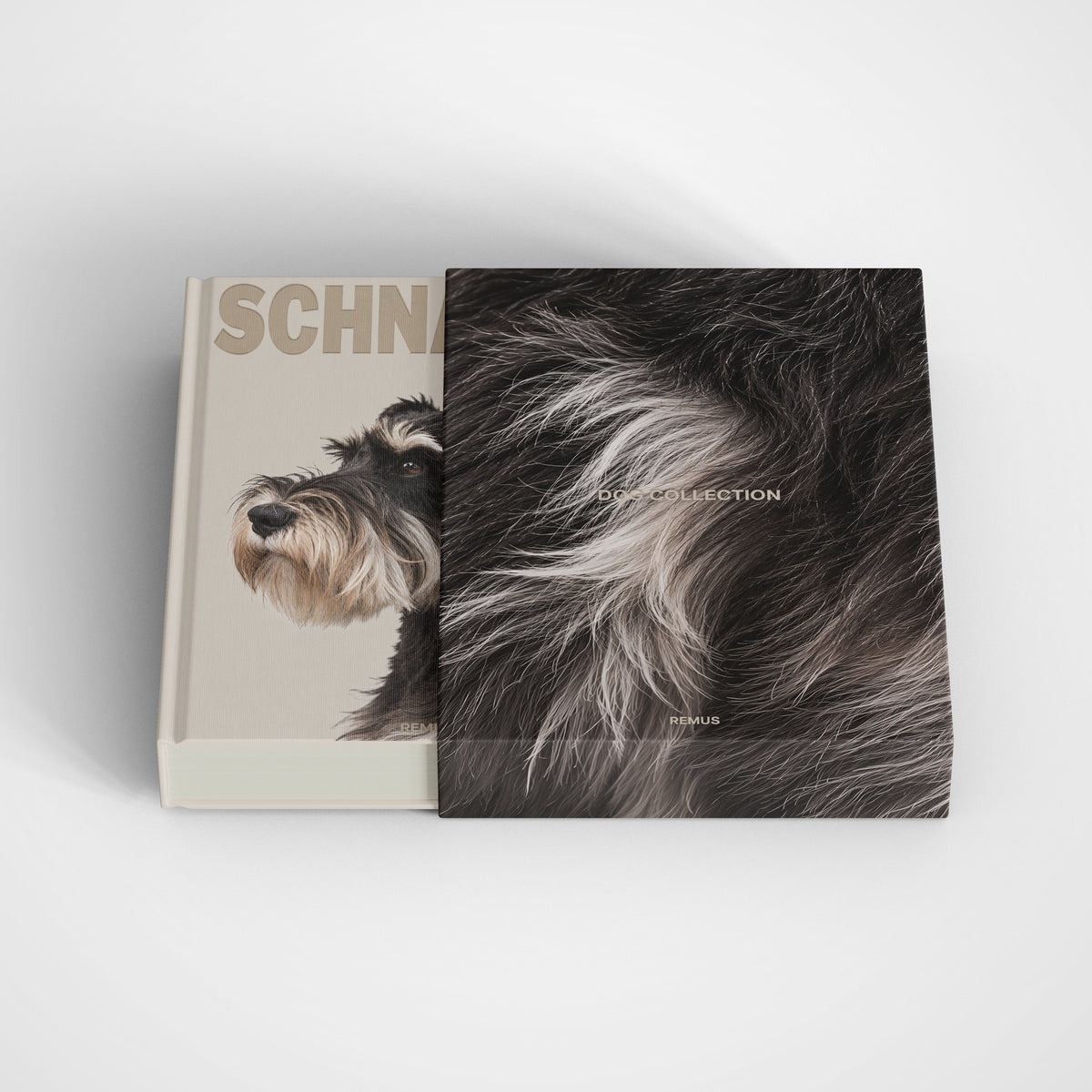 SCHNAUZER REMUS