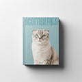 SCOTTISH FOLD Remus Collection