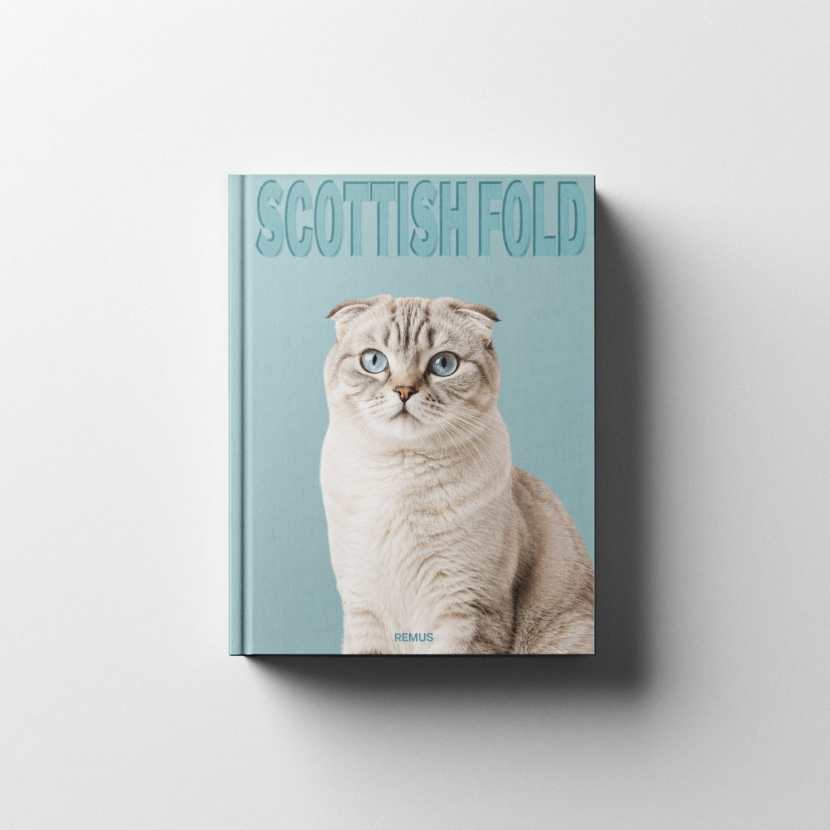 SCOTTISH FOLD Remus Collection