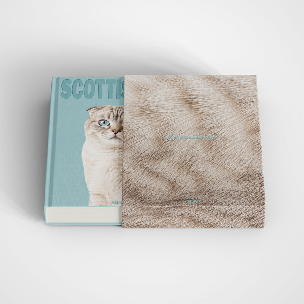 SCOTTISH FOLD Remus Collection