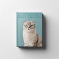 SCOTTISH FOLD Remus Collection