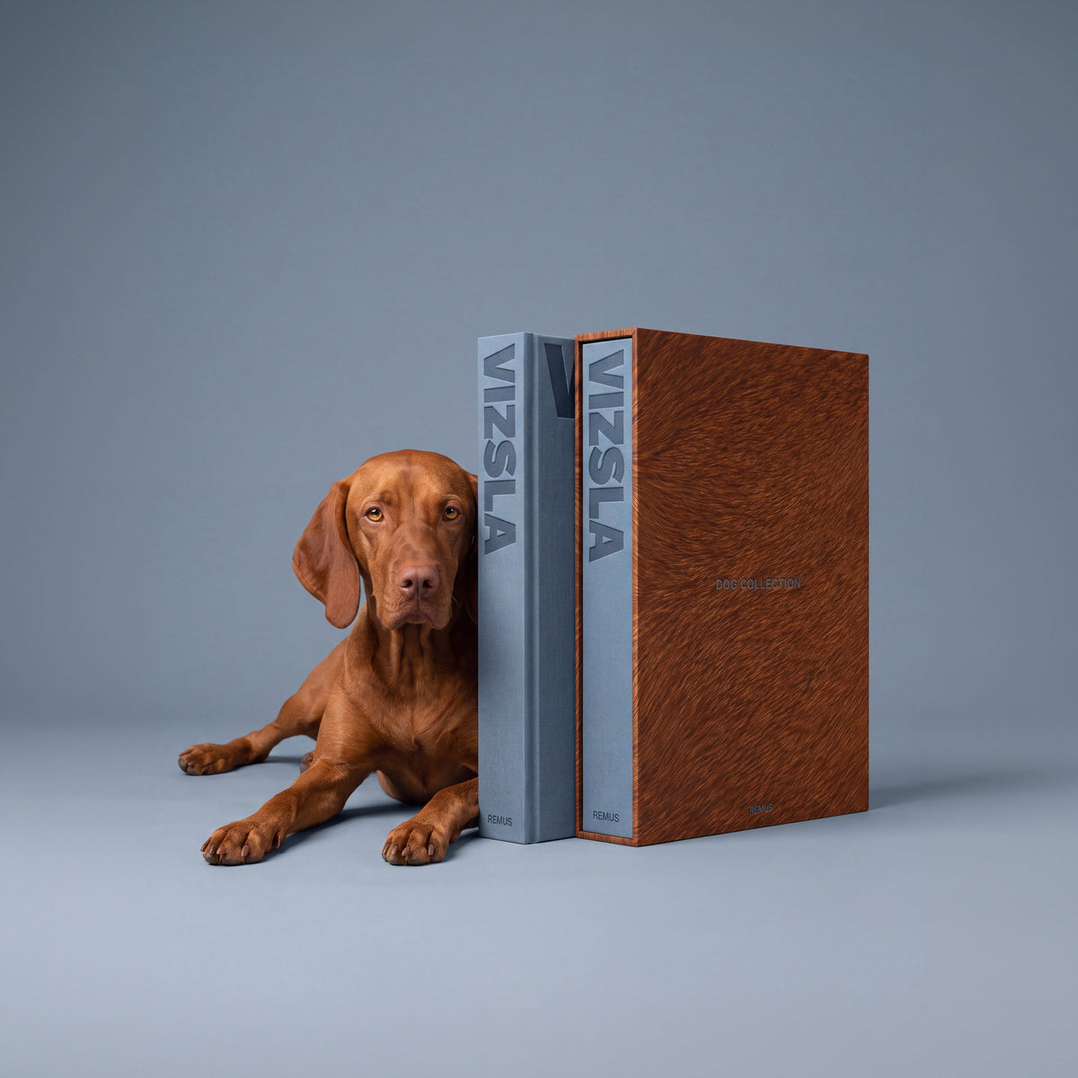 VIZSLA Remus Collection