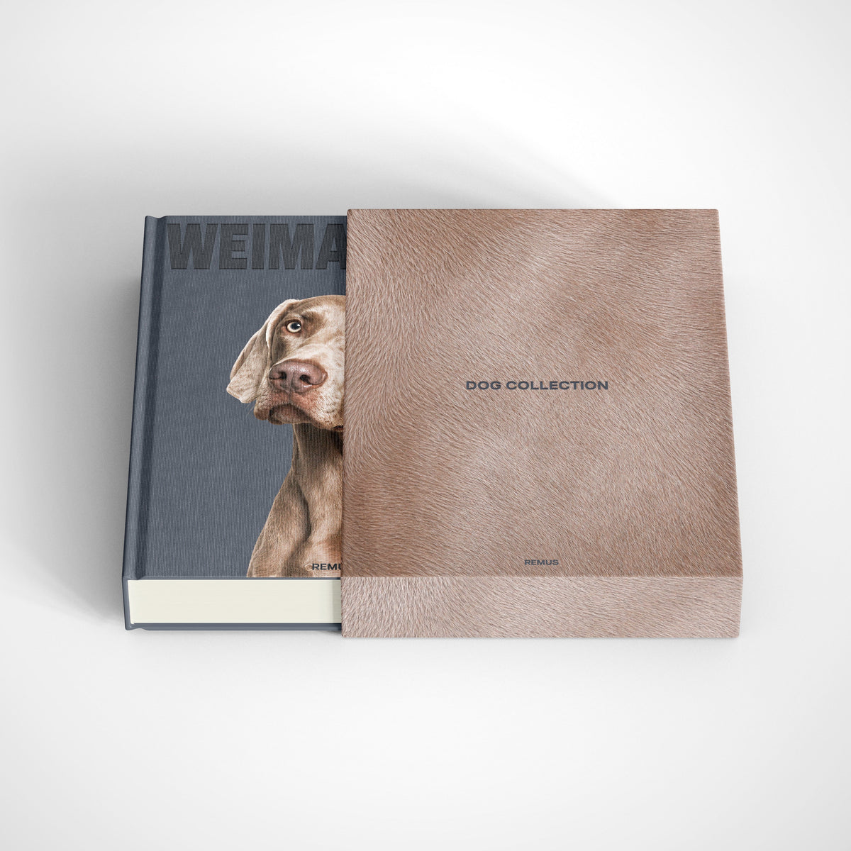 WEIMARANER Remus Collection