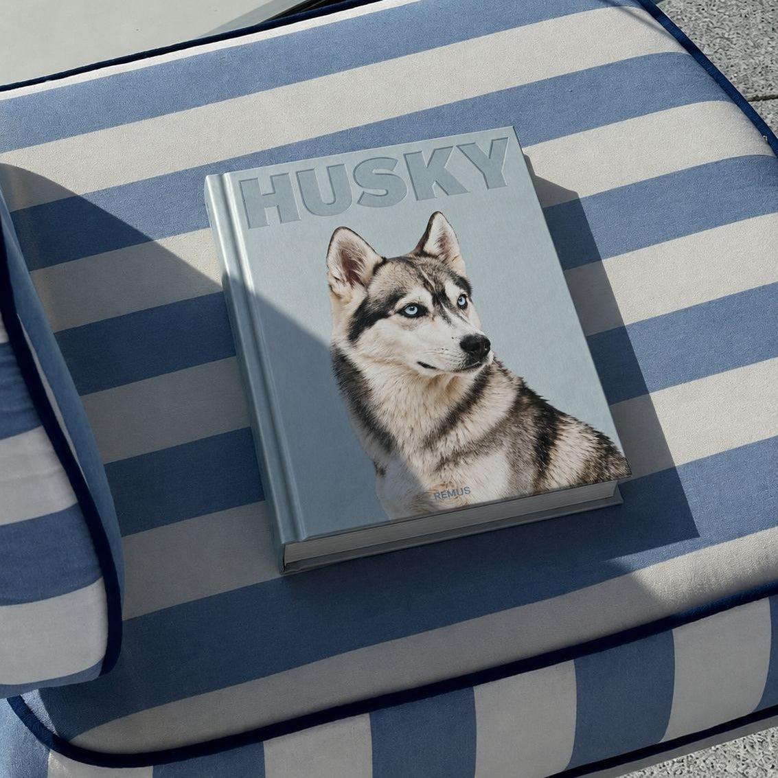 Siberian Husky book interior spread, extreme macro fur photography — REMUS Collection