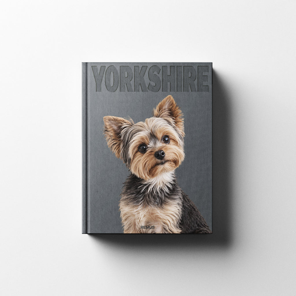 YORKSHIRE REMUS
