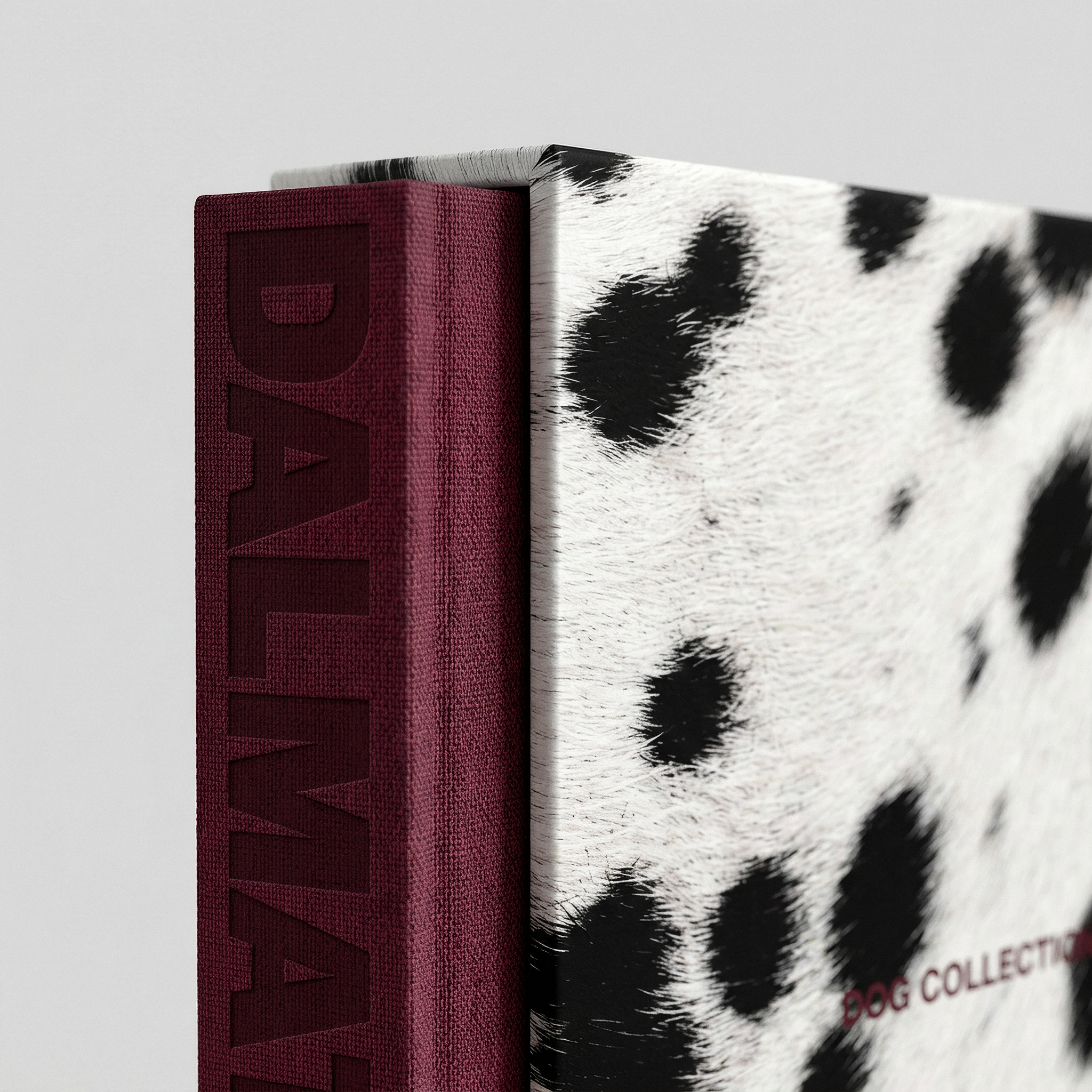 DALMATIAN Remus Collection
